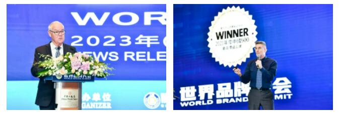 权威认证 爱游戏入选中国500最具价值品牌
