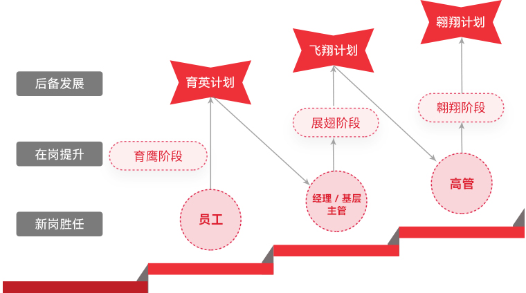 爱游戏 "雄鹰计划"人才梯队培养